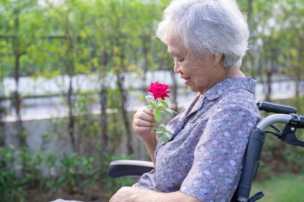 View original image source.