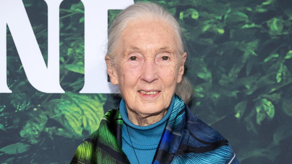 View original image source.